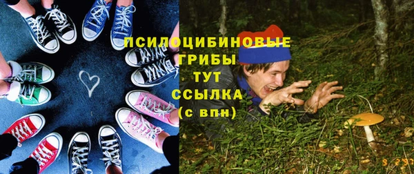 кокс Калининец