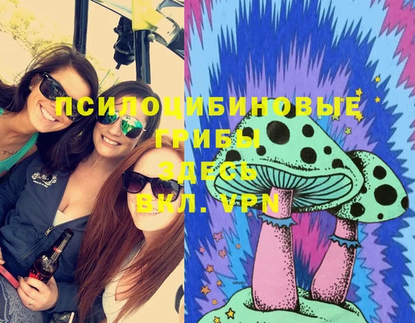 МДМА Фёдоровский