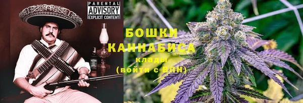ПСИЛОЦИБИНОВЫЕ ГРИБЫ Нестеровская