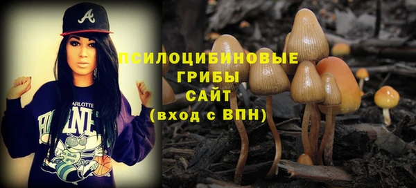 ПСИЛОЦИБИНОВЫЕ ГРИБЫ Нестеровская
